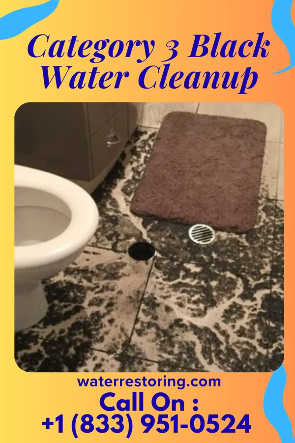 Category 3 Black Water Cleanup in Radom, IL